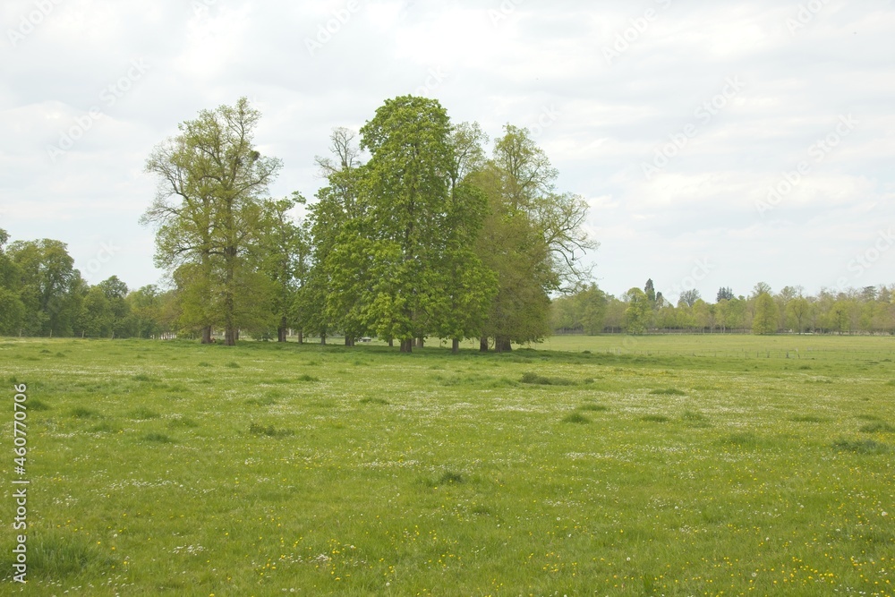 landscape with a house in the background landscape with a house in the background