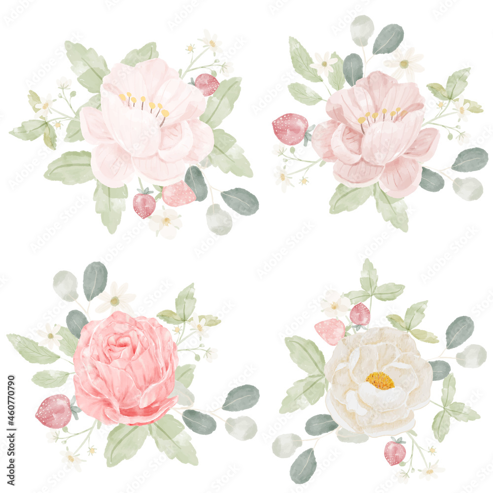 watercolor pink rose bouquet collection isolated on white background