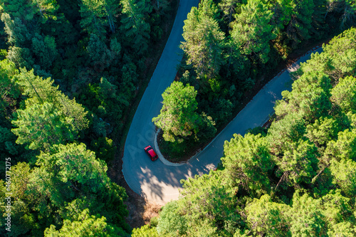 View from above, stunning aerial view of a moving car on a road surrounded by beautiful pine trees. Mount Limbara (Monte Limbara) Sardinia, Italy. photo