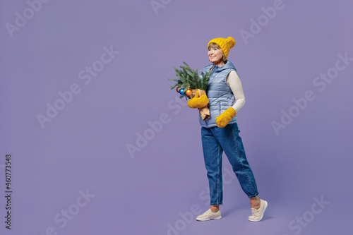 Full size body length mature elderly lady woman 55 years old wears blue waistcoat yellow hat mittens look aside holds spruce branches isolated on plain pastel light violet background studio portrait. © ViDi Studio