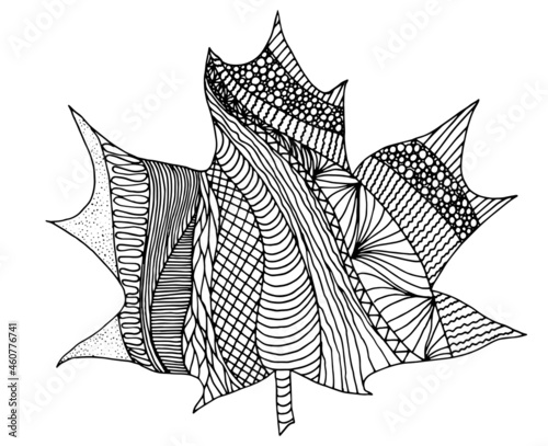 Coloring book page with decorative maple leaf on white background Zentangle doodle style