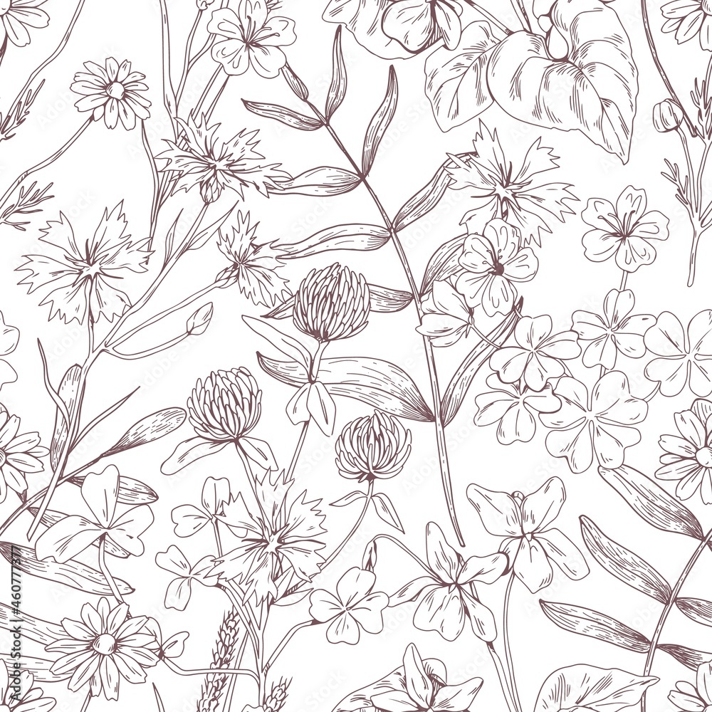 Outlined floral pattern with flowers. Seamless botanical background with wild herbs print. Handdrawn detailed vintage texture with herbal meadow plants. Hand-drawn vector illustration in retro style