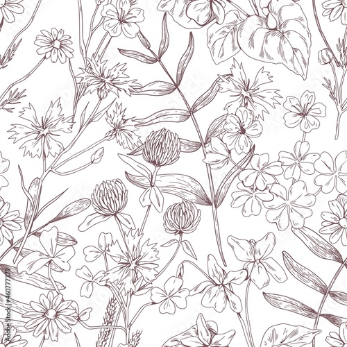 Outlined floral pattern with flowers. Seamless botanical background with wild herbs print. Handdrawn detailed vintage texture with herbal meadow plants. Hand-drawn vector illustration in retro style