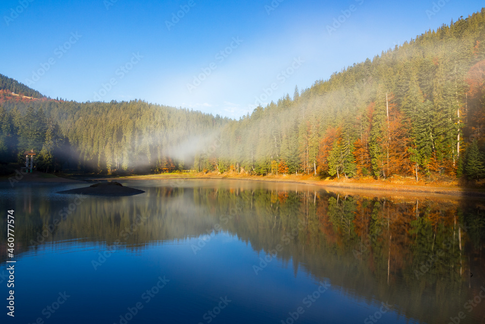 Fototapeta premium morning landscape at the mountain lake. beautiful autumnal nature scenery with fog. coniferous forest on the shore. synevyr national park, ukraine