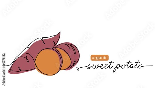 Sweet potato tuber vector illustration. One line art drawing with lettering organic sweet potato photo