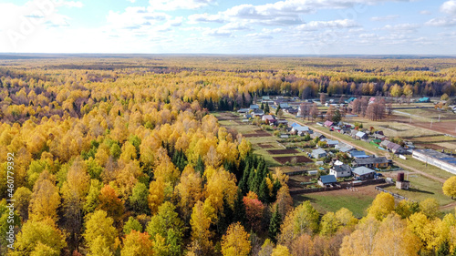Autumn forest. Aerial photography. View from above