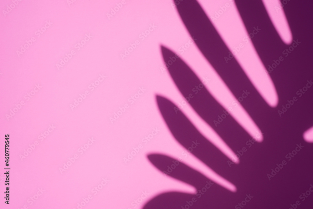 Trending concept in natural materials with palm leaves shadow on pink background. Presentation with daylight. Natural blurred shade. Summer sunlight from herb. Abstract beautiful backdrop for text or