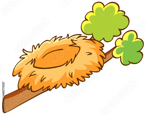 Empty bird nest on a branch