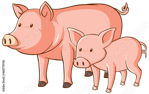 Big and small pigs cartoon on white background