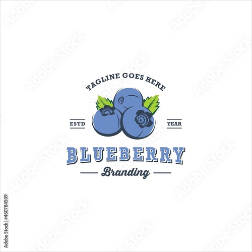 Blueberry Fruit Logo Design Vector Image