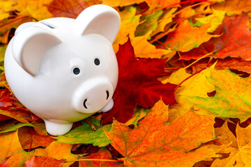 Time for Fall Savings
