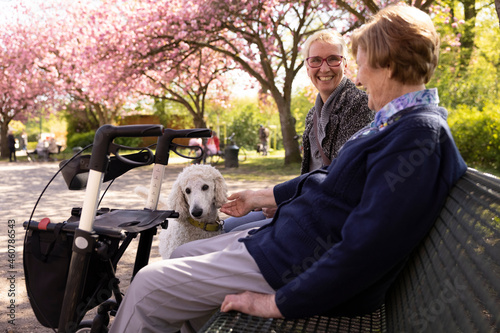 Seniorin sitzt mit Tochter im Frühling mit Tochter auf einer Bank im Park und freut sich über deren Hund