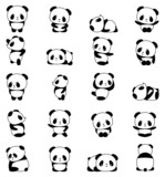 Set of cute pandas in different poses, black and white vector illustration isolated on a white background