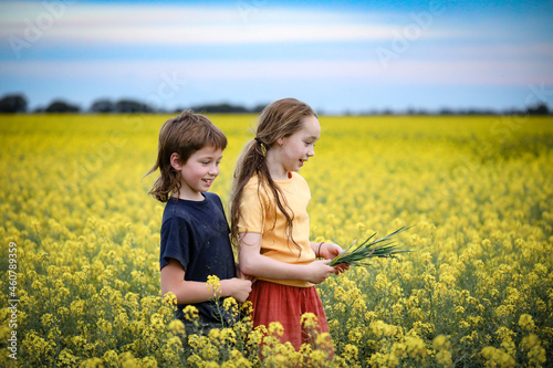 Brother and sister playing together in vibrant canola field in full bloom