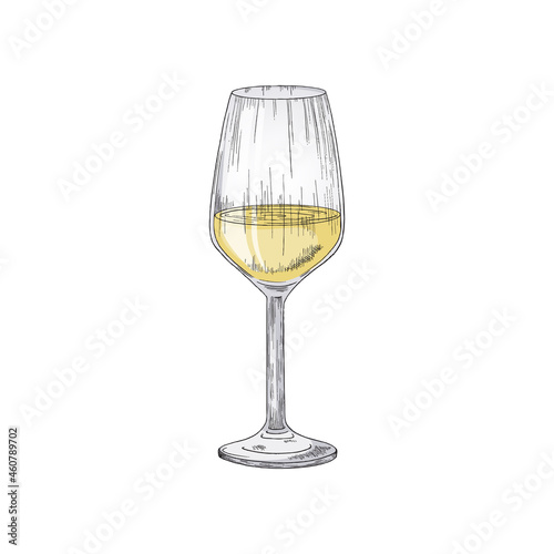 Glass with white grape wine or champagne a vector illustration isolated on white