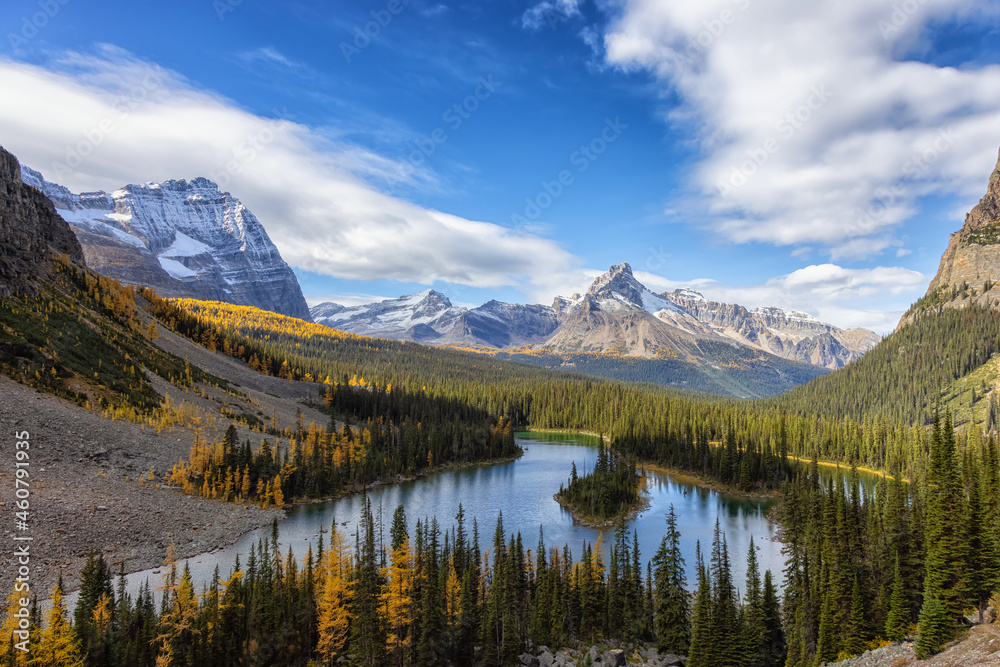 Scenic View of Glacier Lake with Canadian Rocky Mountains in Background. Sunny Fall Day. Located in Lake O'Hara, Yoho National Park, British Columbia, Canada.