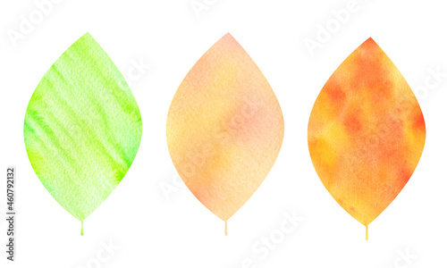 Apple leaf in three colors: green, yellow, brownish gold. Set of watercolor elements. Perfect for autumn patterns, stickers, wallpapers, scrapbooking, cards