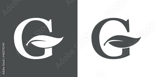 Logotipo letra inicial G con hoja de árbol en fondo gris y fondo blanco