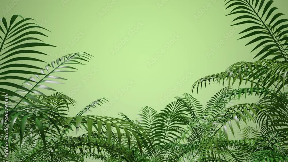 Leaves, grass, branches. Blowing wind effect. Botanical floral frame. Zoom out. Green background. Nature. Tropical plants. Spring, summer mood. Seasonal clip. 3D Render 4K animation Leaves, grass, branches. Blowing wind effect. Botanical floral frame. Zoom out. Green background. Nature. Tropical plants. Spring, summer mood. Seasonal clip. 3D Render 4K animation