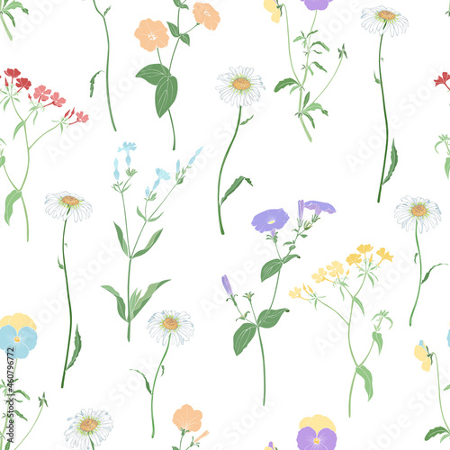 White background with wildflowers. Seamless vector pattern