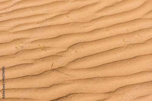 Ripple sand dunes texture background. Desert, sandy waves.