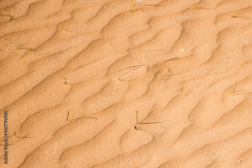 Ripple sand dunes texture background. Desert, sandy waves.