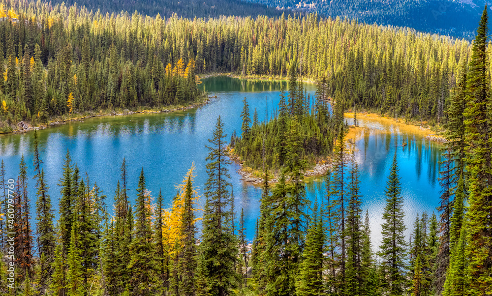 Scenic View of Glacier Lake in Canadian Rocky Mountains. Sunny Fall Day. Located in Lake O'Hara, Yoho National Park, British Columbia, Canada. Scenic View of Glacier Lake in Canadian Rocky Mountains. Sunny Fall Day. Located in Lake O'Hara, Yoho National Park, British Columbia, Canada.