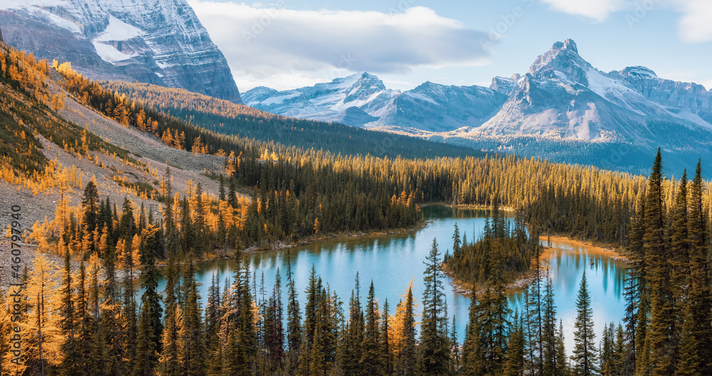 Scenic View of Glacier Lake with Canadian Rocky Mountains in Background. Sunny Fall Day. Located in Lake O'Hara, Yoho National Park, British Columbia, Canada. Scenic View of Glacier Lake with Canadian Rocky Mountains in Background. Sunny Fall Day. Located in Lake O'Hara, Yoho National Park, British Columbia, Canada.