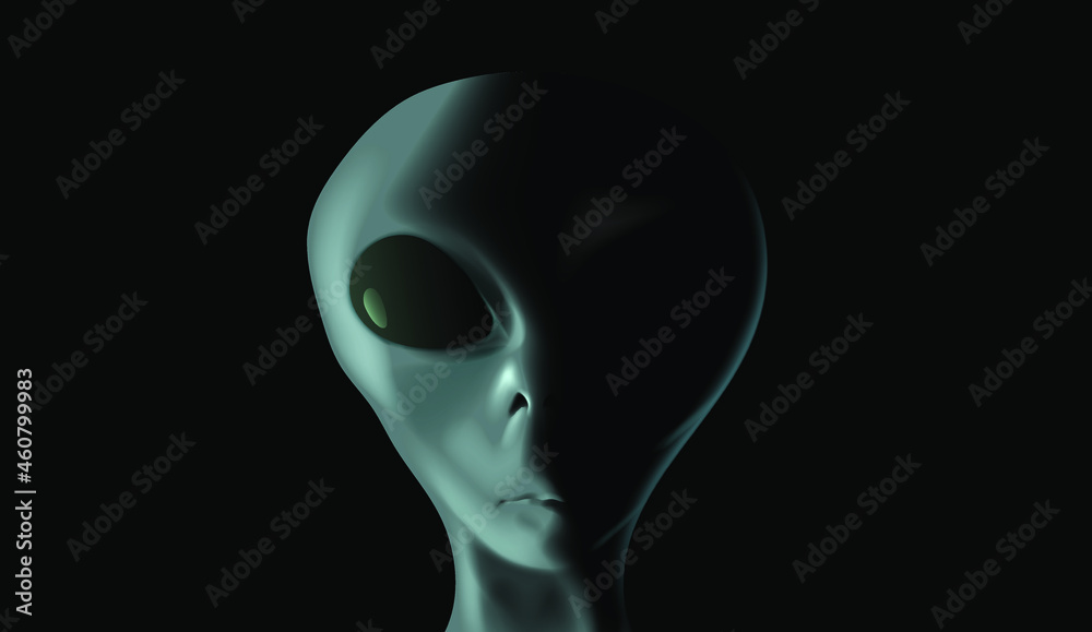Alien's face on black background. UFO and extraterrestrial life concept. Alien's face on black background. UFO and extraterrestrial life concept.