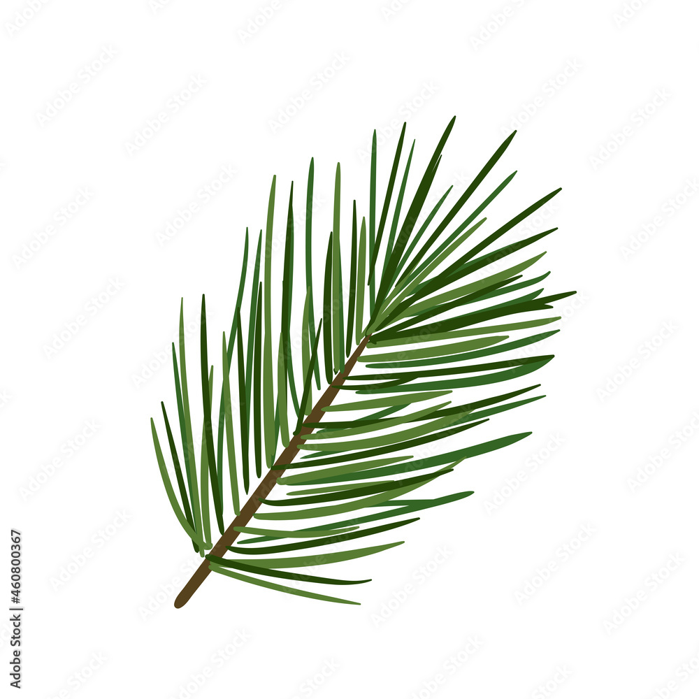 Flat vector Illustration Christmas branch of pine tree Flat vector Illustration Christmas branch of pine tree