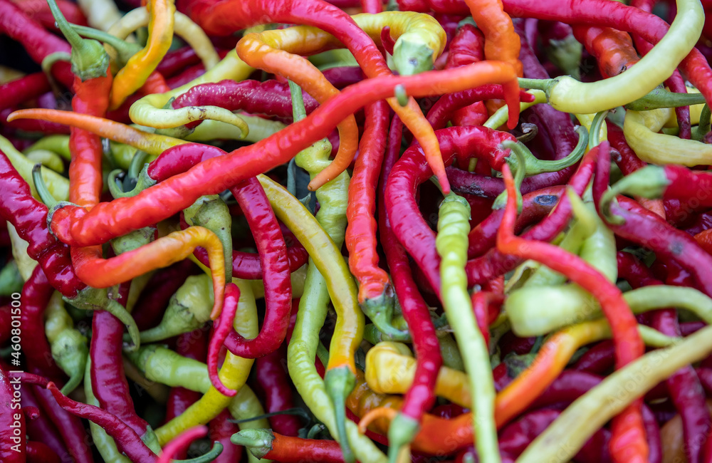 Heap of colorful chili pepper paprika Heap of colorful chili pepper paprika