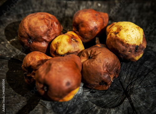 Heap of rotton fruit pear on wood photo