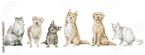 Photography Watercolor set with cute domestic animals