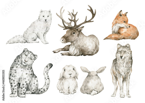 Watercolor set with cute wild animals. Arctic fox, deer, snow leopard, rabbit, wolf. Woodland wildlife.