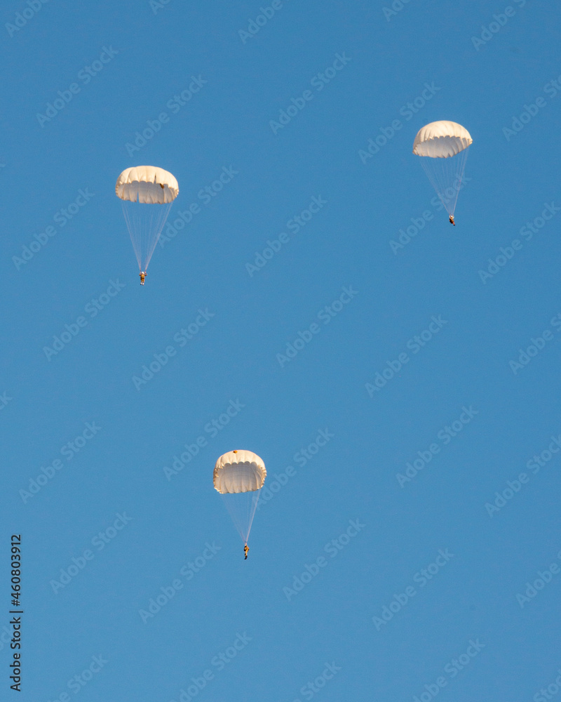 Fototapeta premium Skydiver activity sport jump on the blue sky background