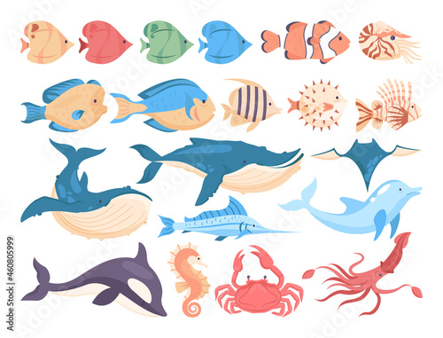 Fish and sea creatures set. Collection of aquatic fauna. Dolphin, whale