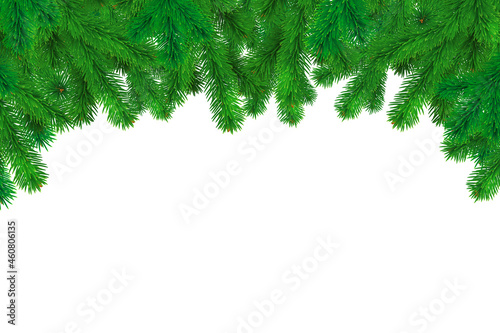 Fir branches border isolated on white background. Vector