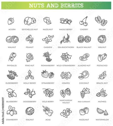 web icons collection - nuts and berries. Vector symbols