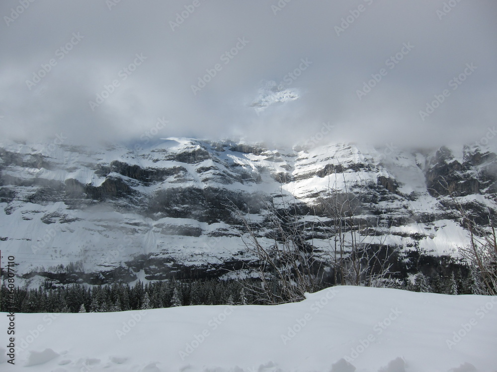 Explore the Jungfrau Swiss Alps Explore the Jungfrau Swiss Alps