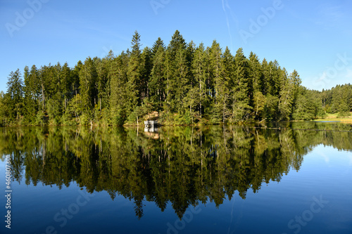 Fototapeta Naklejka Na Ścianę i Meble -  Der Schlüchtsee im Schwarzwald 