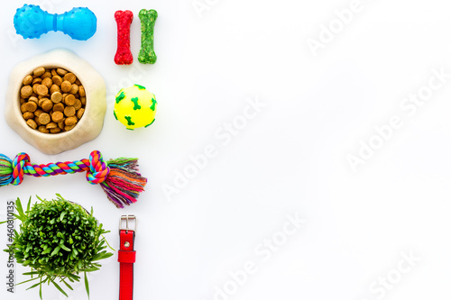 Pet accessories top view. Dry dog and cat food with toys photo