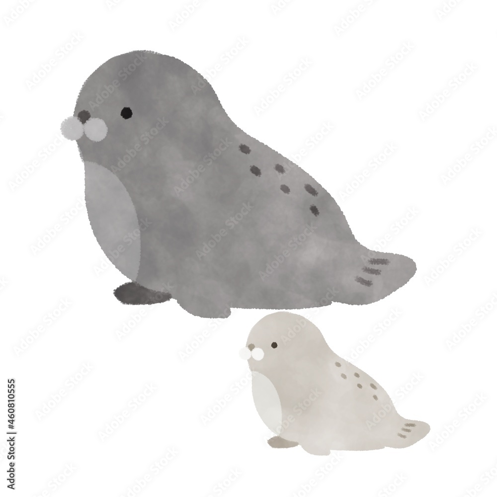 アザラシ イラスト Stock Illustration Adobe Stock