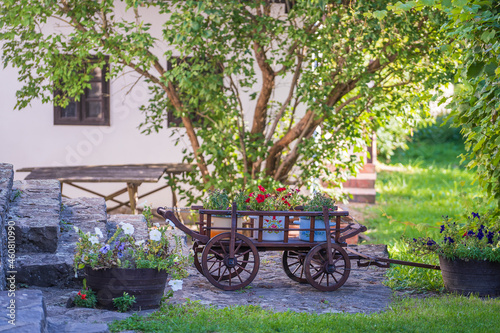 Garden composition with wooden rustic cart with bright flowers in the yard, Hungary photo