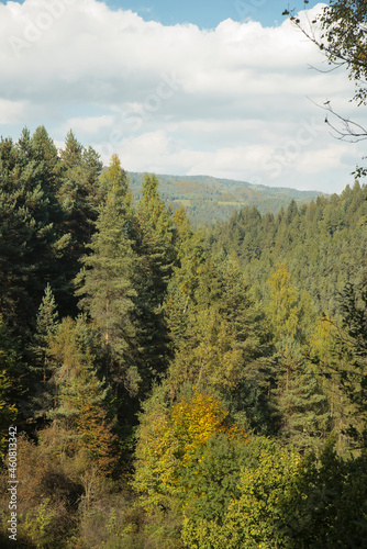lasy, Beskid Niski © siwyk
