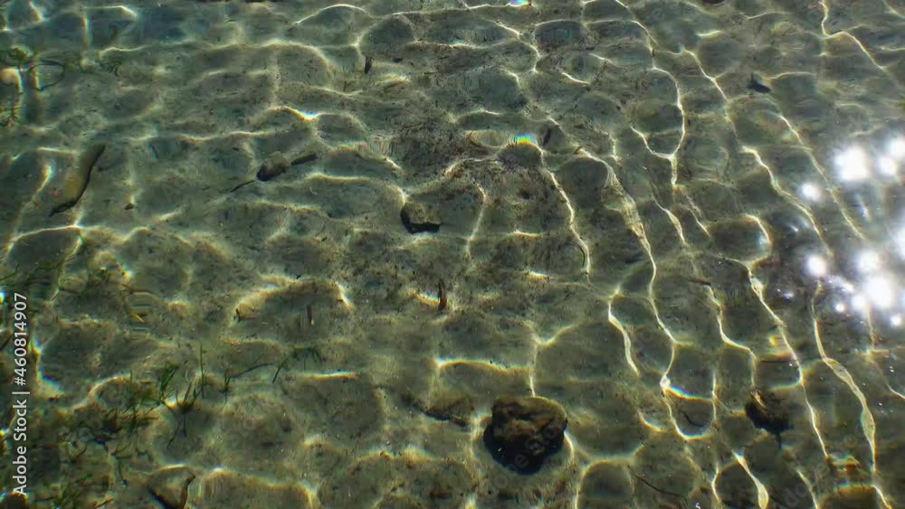Reflections on the sea shore on a sunny day. Reflections on the sea shore on a sunny day.