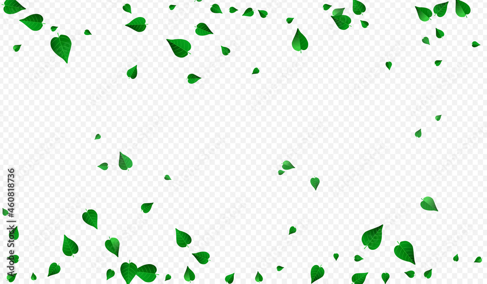 Swamp Greens Wind Vector Transparent Background
