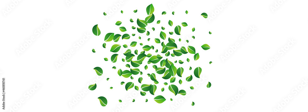 Green Leaves Spring Vector Panoramic White Green Leaves Spring Vector Panoramic White