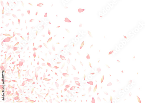 Transparent Flower Petal Vector White Background.