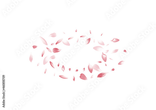 Pastel Peach Petal Vector White Background. White
