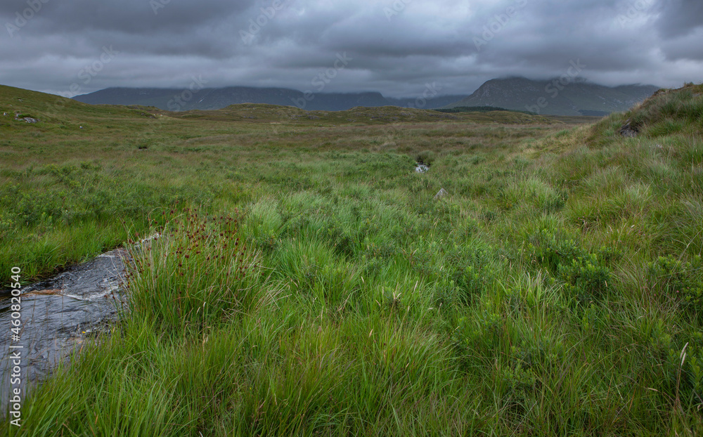 Ireland peet and heather fields. Mountains. Connemara. Small brook and grass.